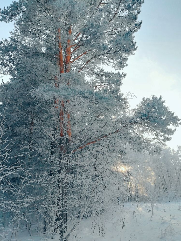 Photograph by Мария