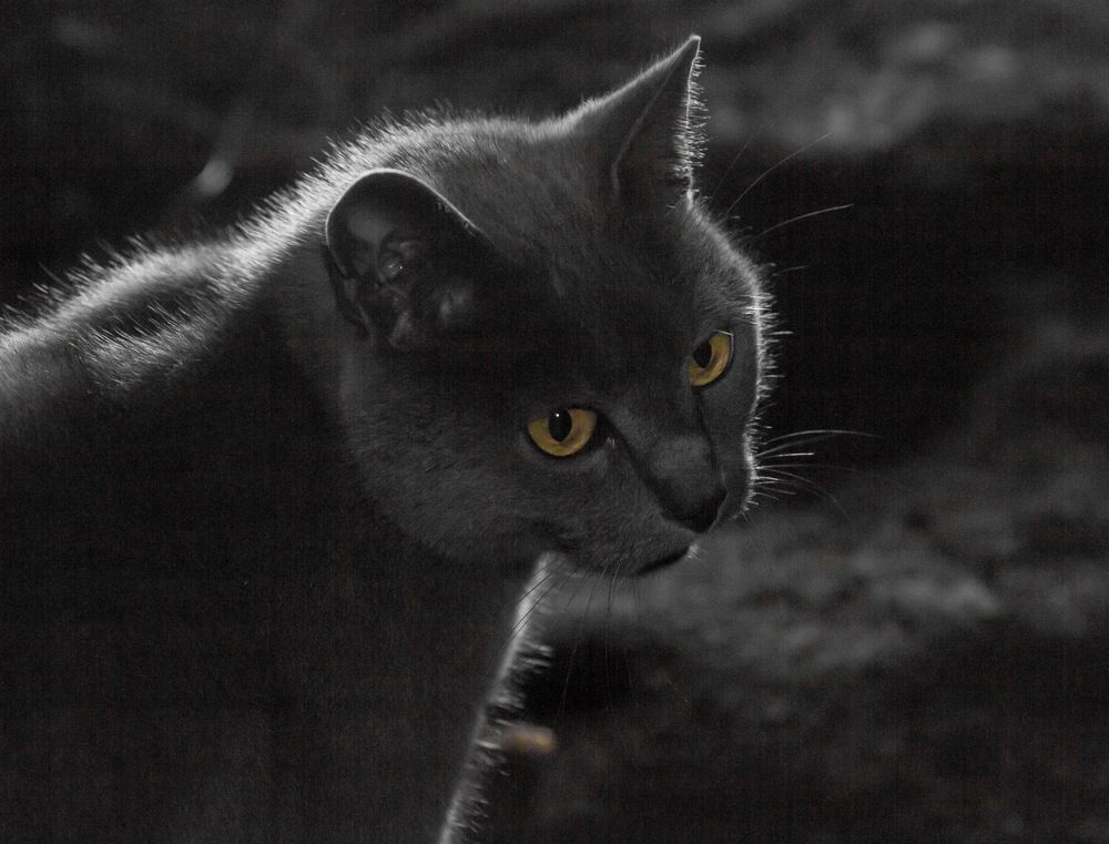 Photograph by Вячеслав