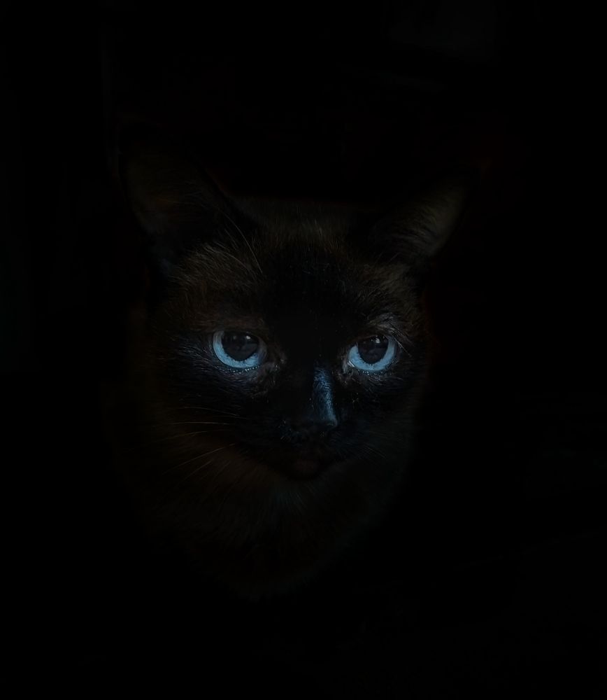 Photograph by Larisa