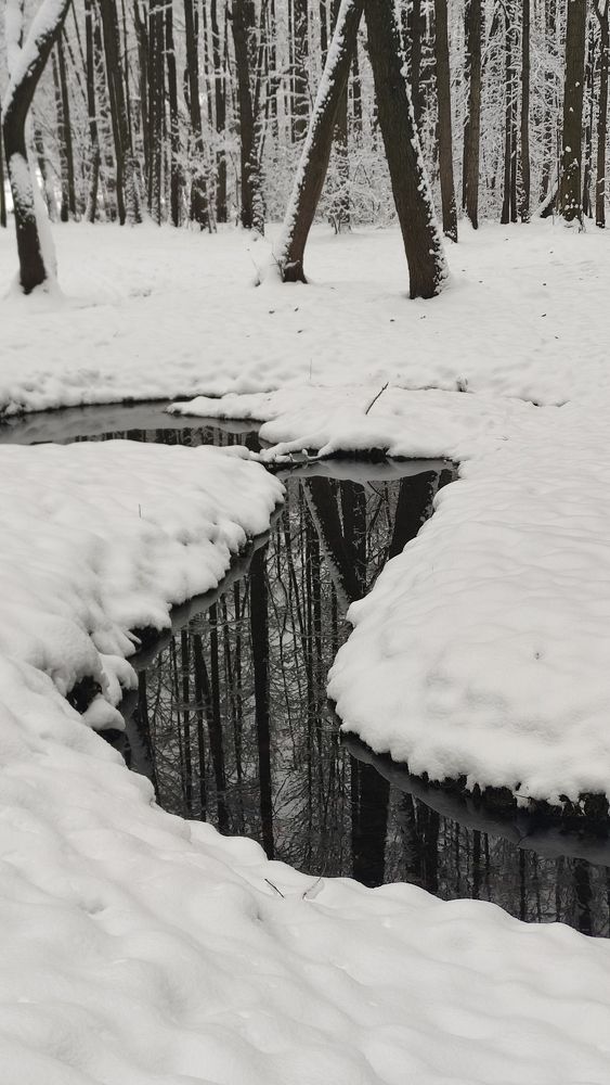 Photograph by Ирина Подлубная
