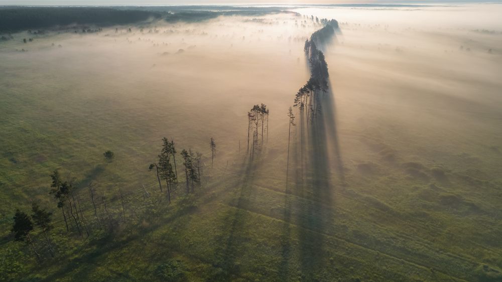 Photograph by Павел Трефилов