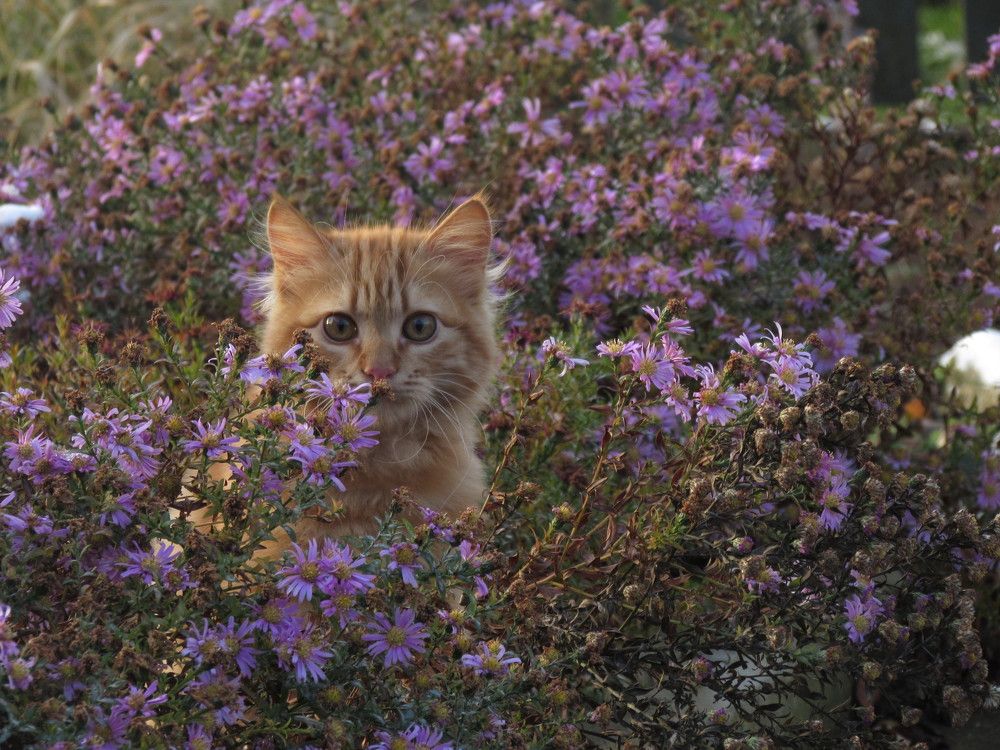 Photograph by Елена Кузнецова