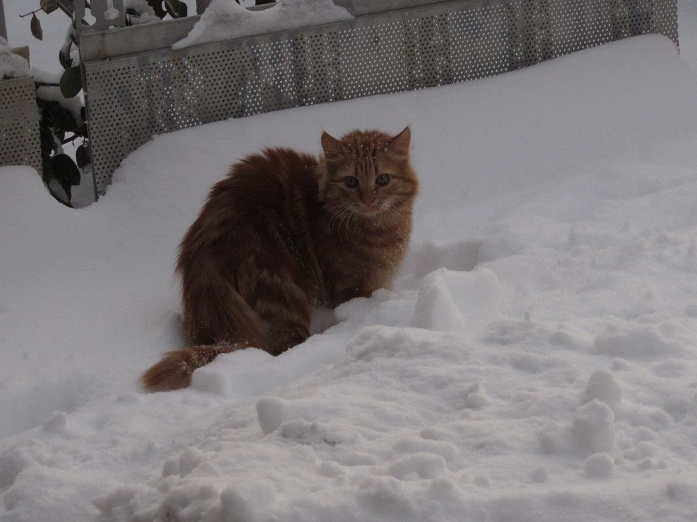 Photograph by Елена Кузнецова