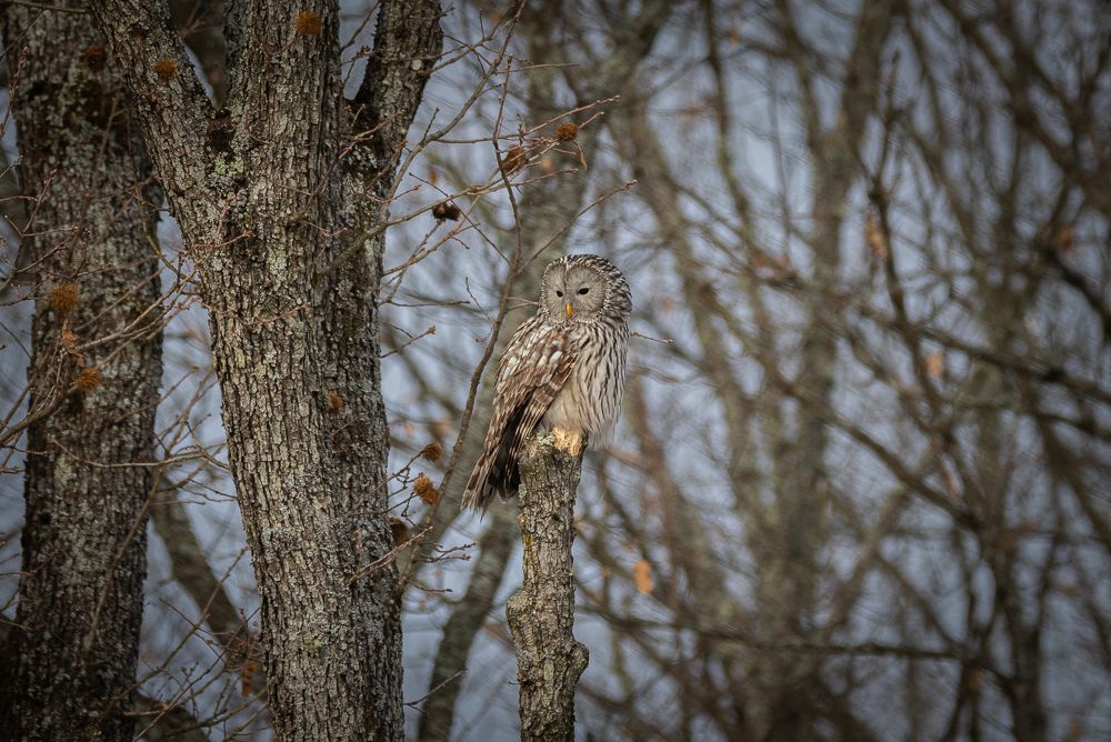 Photograph by George Alexandru Ghiuro