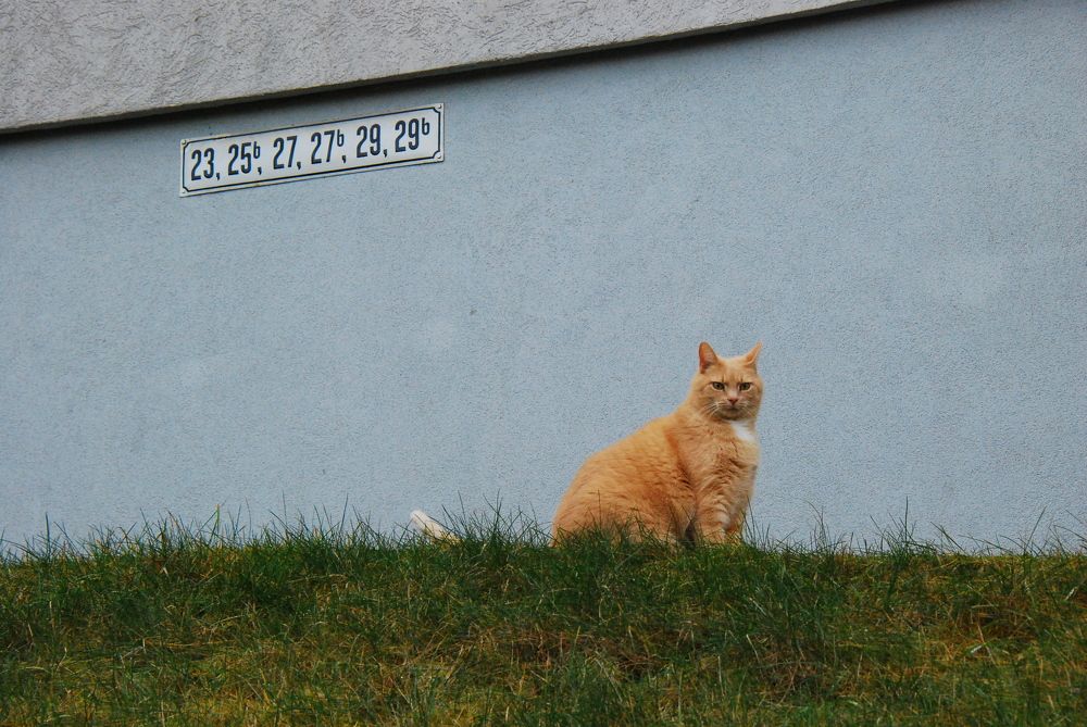 Photograph by Jedidiah Tan