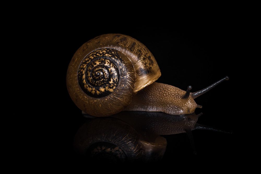 Photograph by Kevin Blackwell