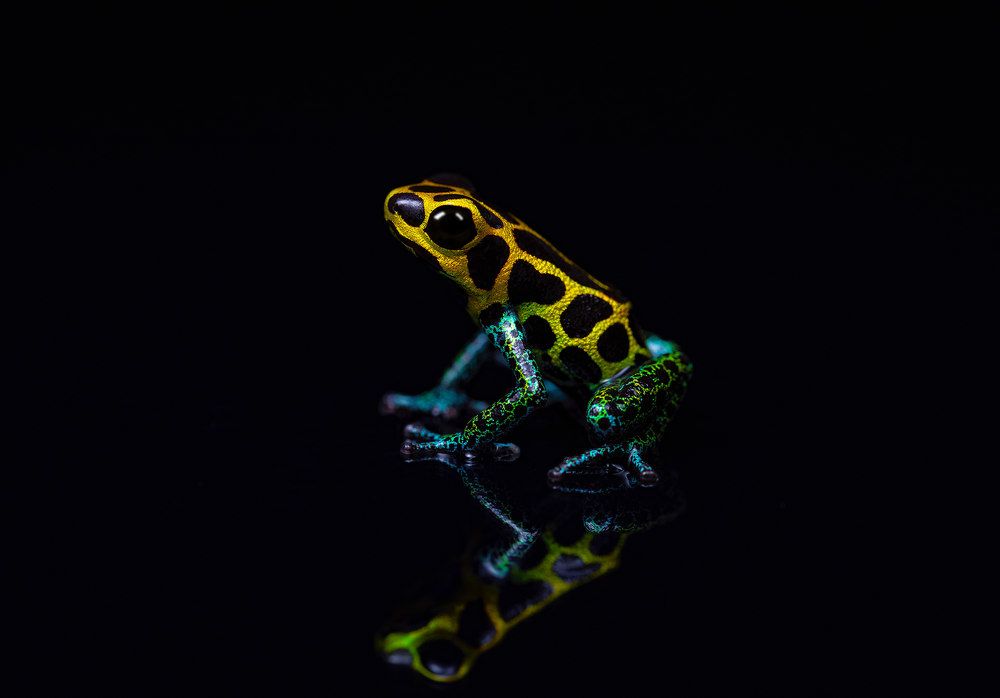 Photograph by Kevin Blackwell