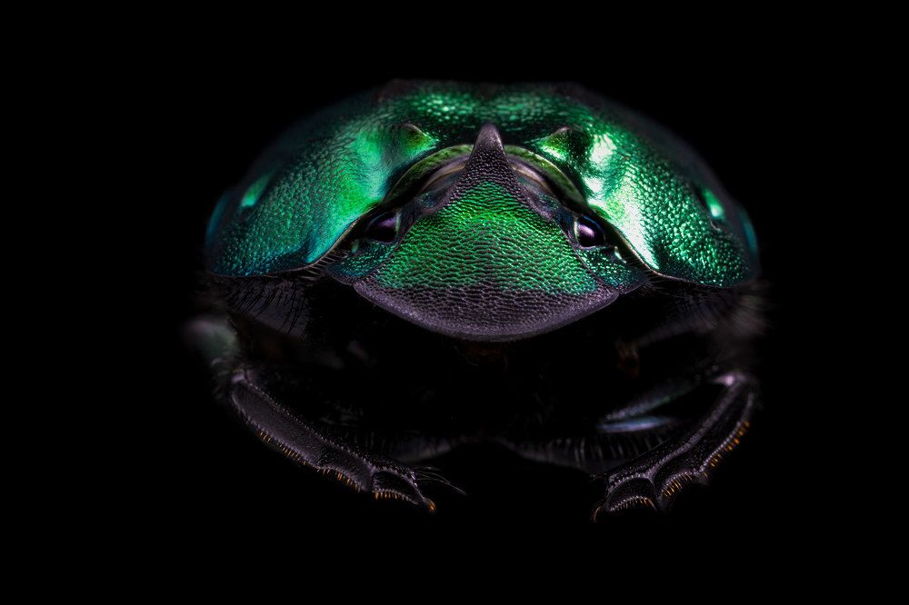 Photograph by Kevin Blackwell