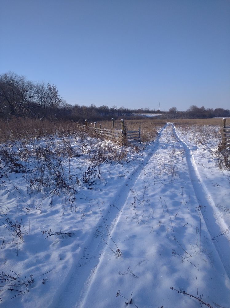 Photograph by Елена Коробченко