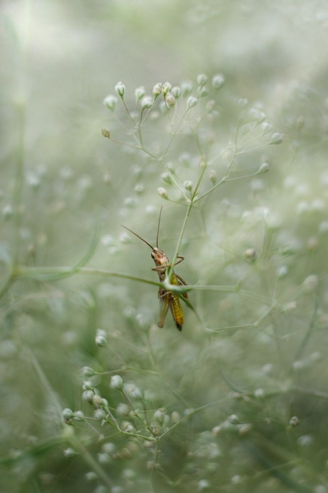 Photograph by Юлия Марфонова