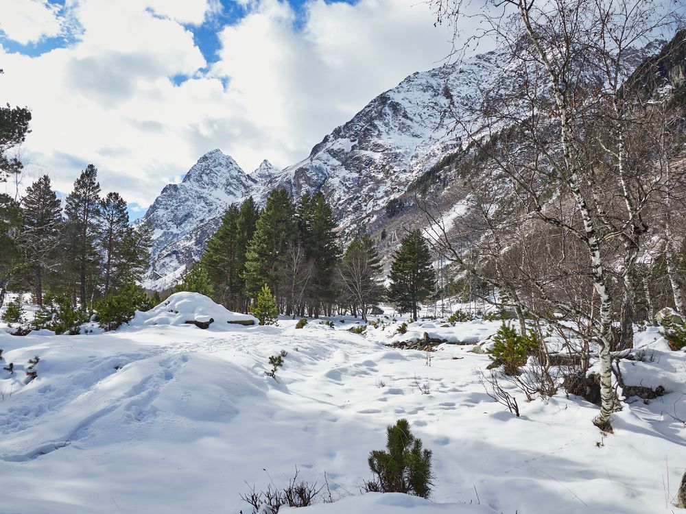 Photograph by Ирина