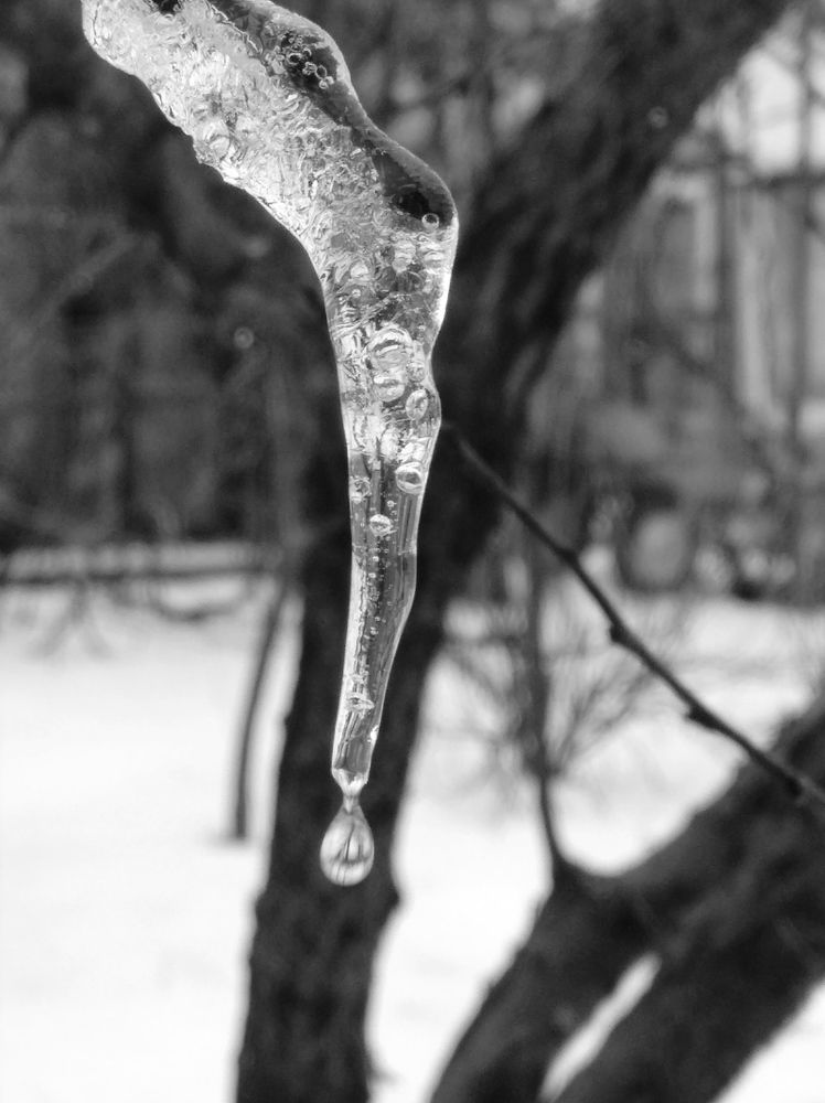 Photograph by Елена Коробченко