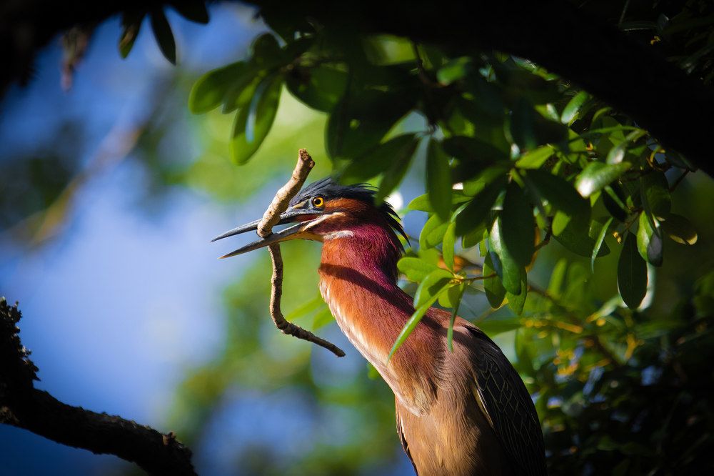 Photograph by Kevin Blackwell