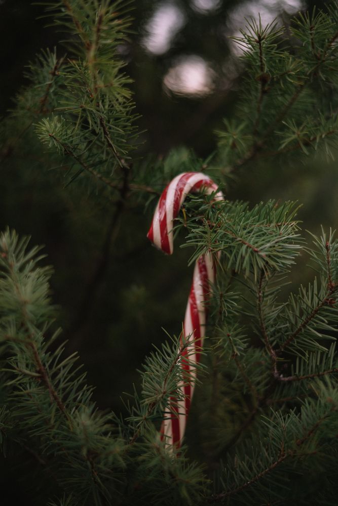 Photograph by Anna Vlasova