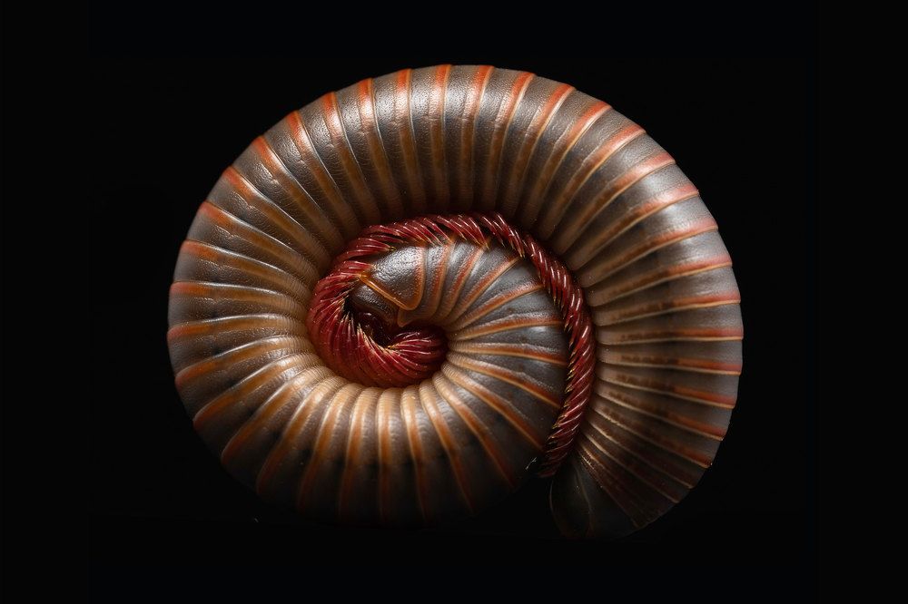 Photograph by Kevin Blackwell