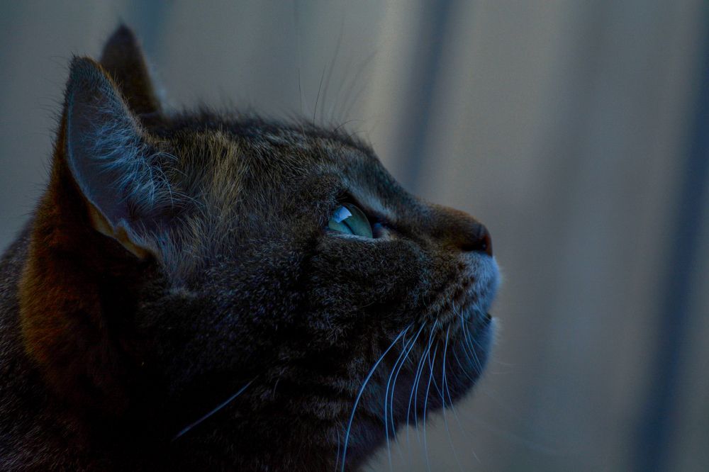 Photograph by Александр Перегудов