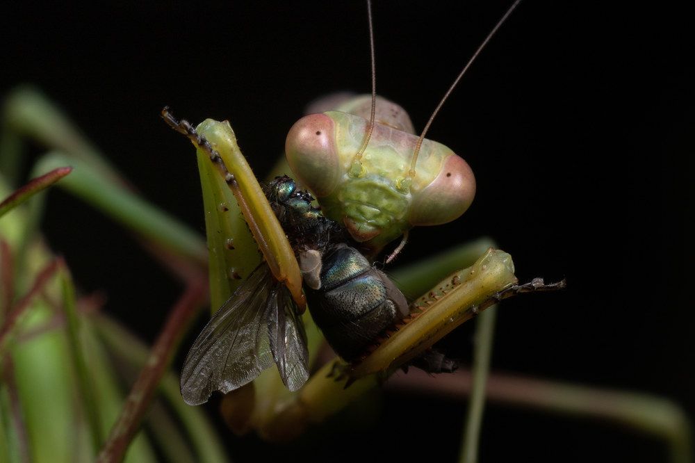 Photograph by Kevin Blackwell