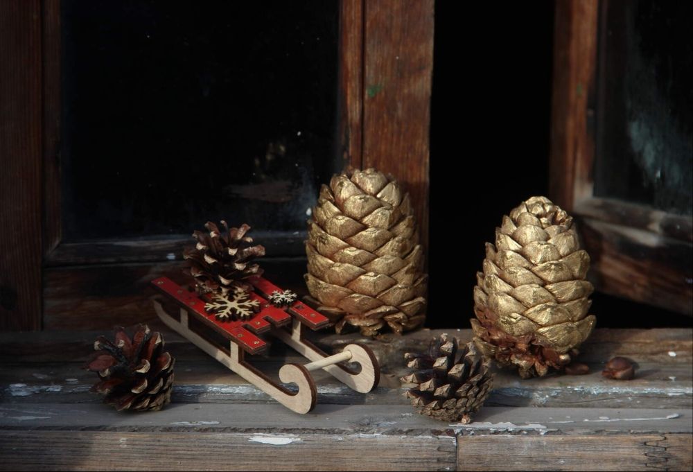 Photograph by Алина