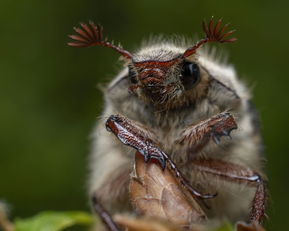 Photograph by Людмила Железнова