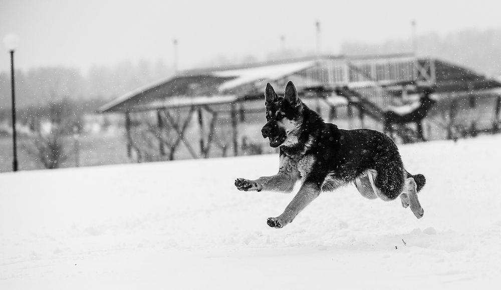 Счастливый - беззаботный