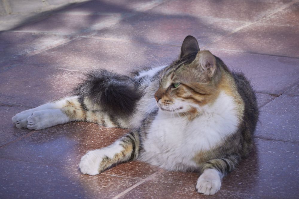 Photograph by Ирина