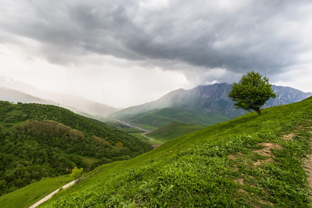 Photograph by Александр Кузнецов