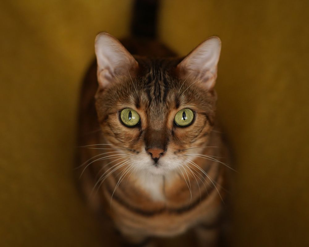 Photograph by Галина Крутикова