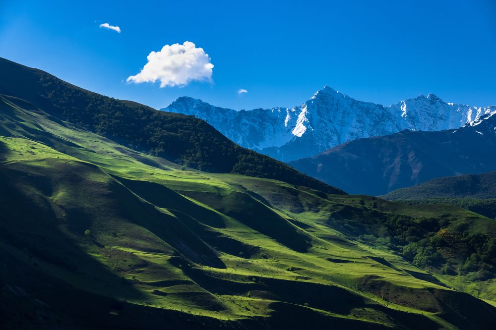 Photograph by Александр Кузнецов