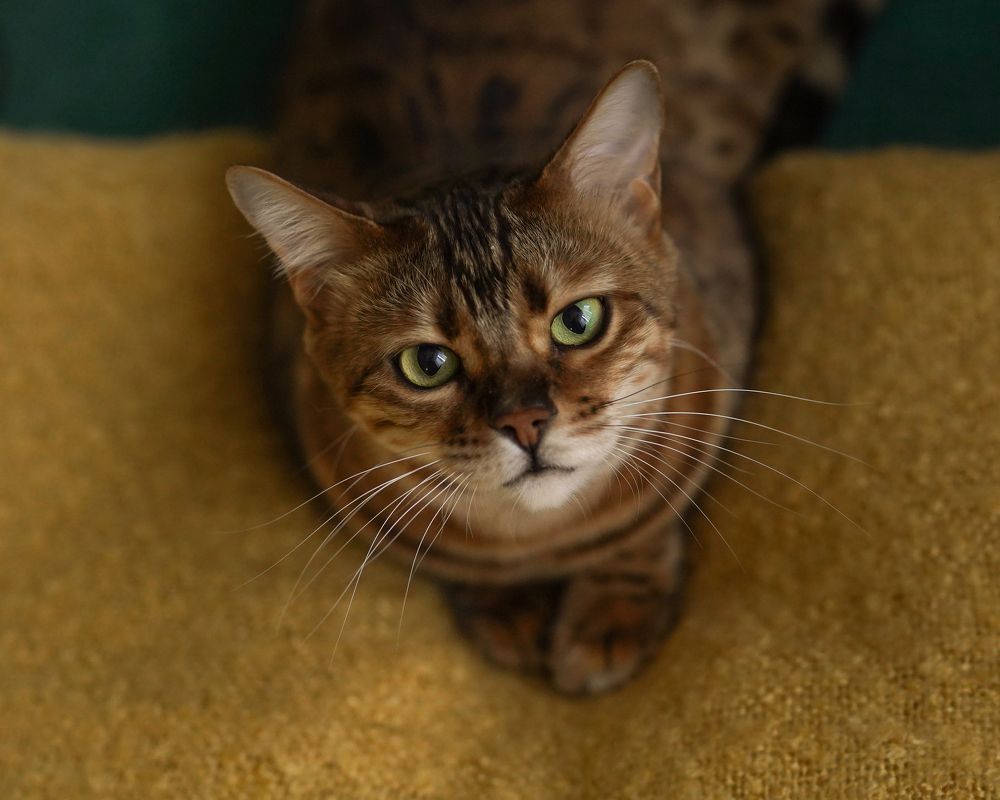 Photograph by Галина Крутикова