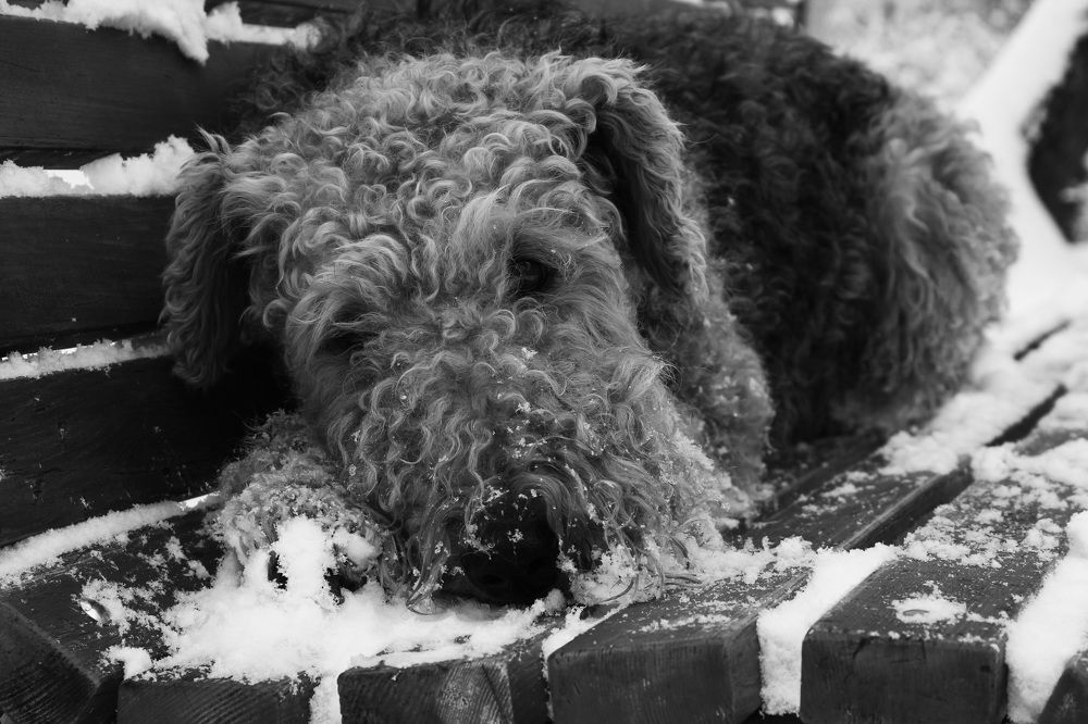 Photograph by Матвей Короткин