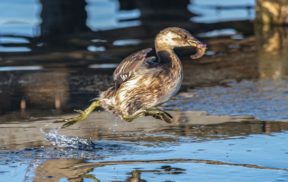 Photograph by Сергей Савчук