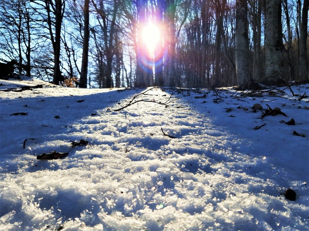 Photograph by Галина Глазкова