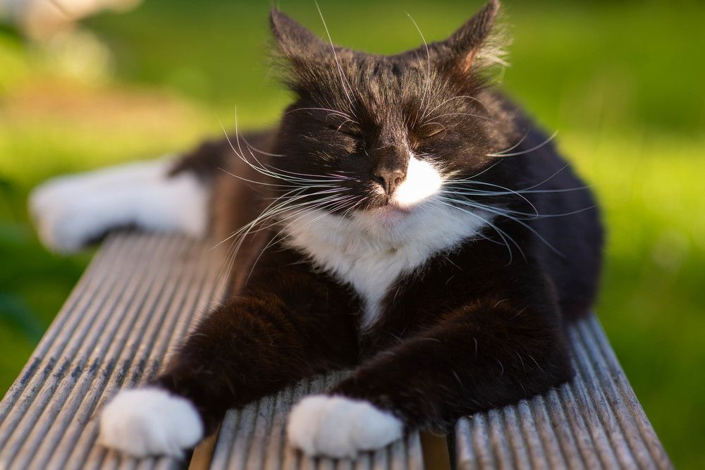 Фотография автора Aлексей Игнатьев