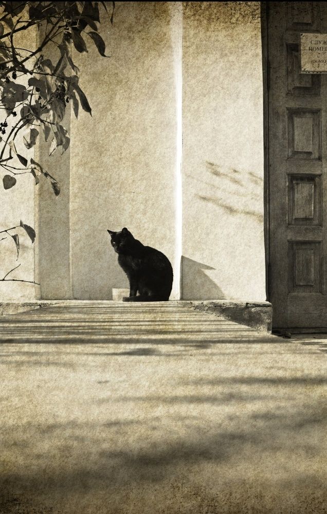 Фотография автора Ринат Абдуллин