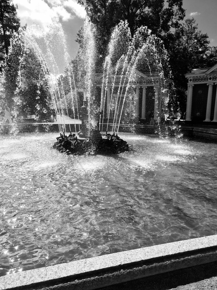 Photograph by Елена Кольцина