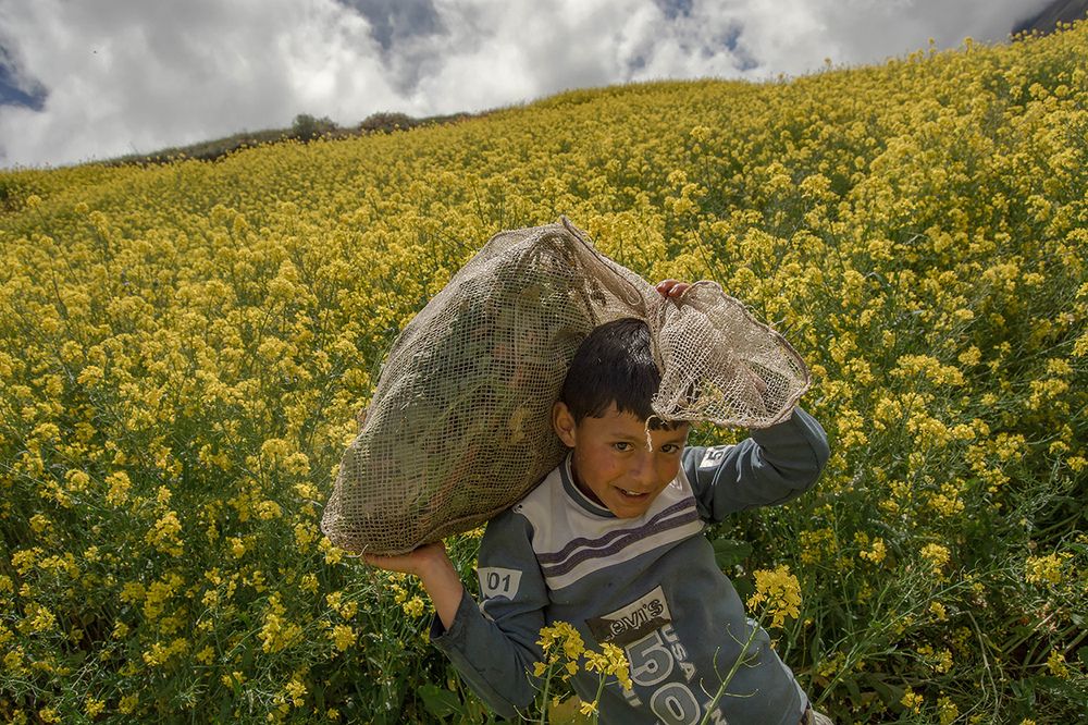 Photograph by miguel alejandro zambrano julio