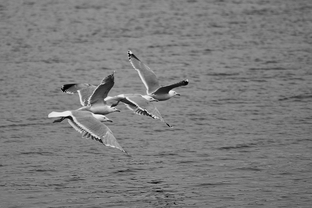 Photograph by Игнатьев Александр