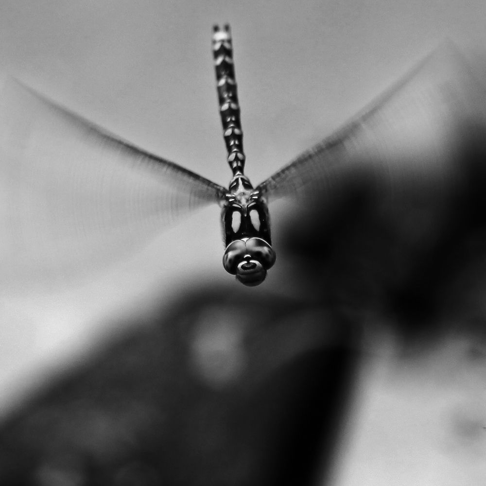 Photograph by Игнатьев Александр