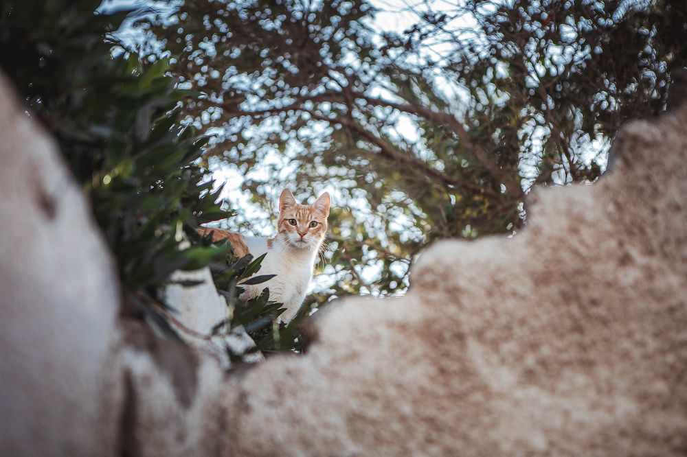 Photograph by Агата Карасева