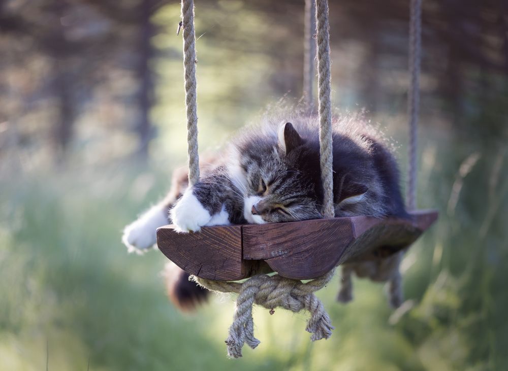 Photograph by Алексей Тихонов