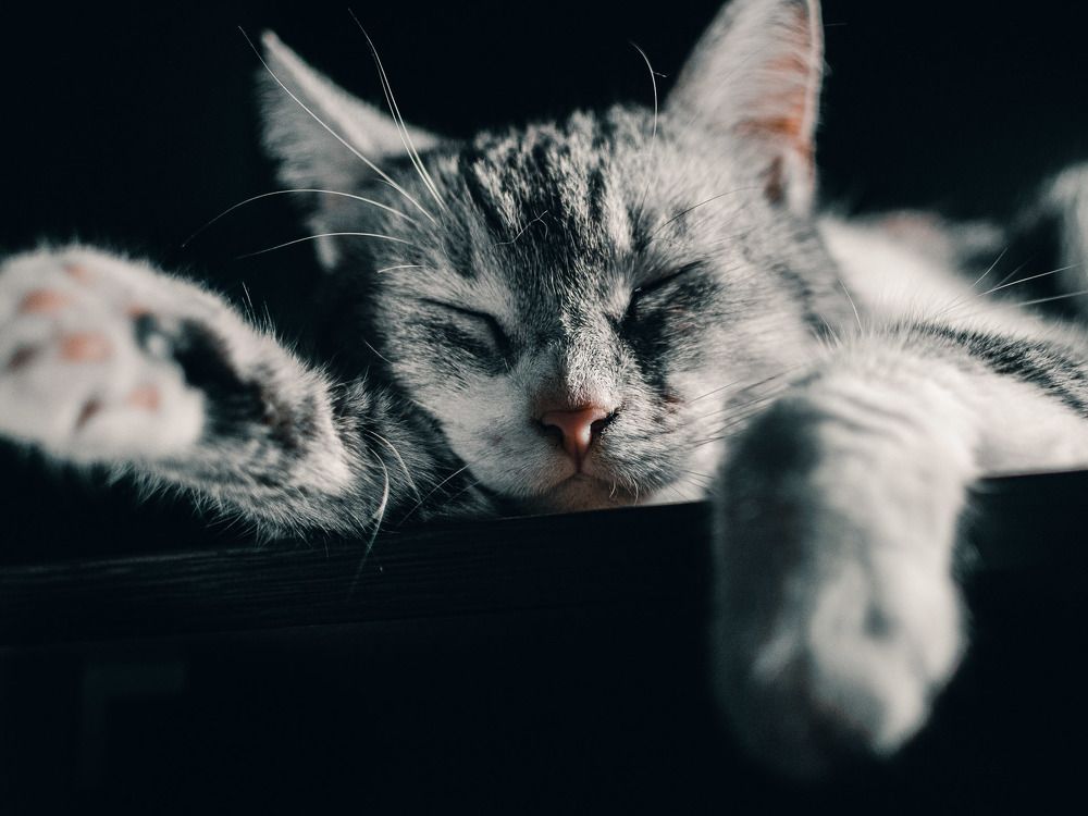 Фотография автора Вадим