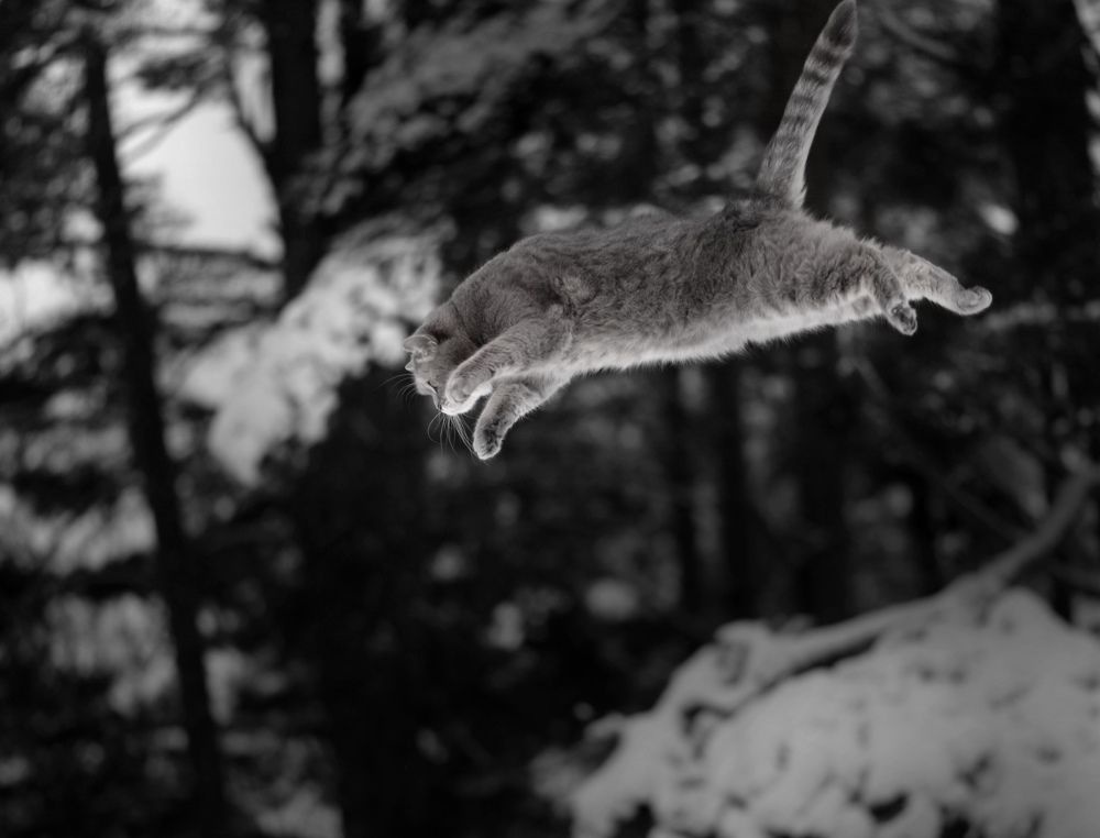 Photograph by Алексей Тихонов