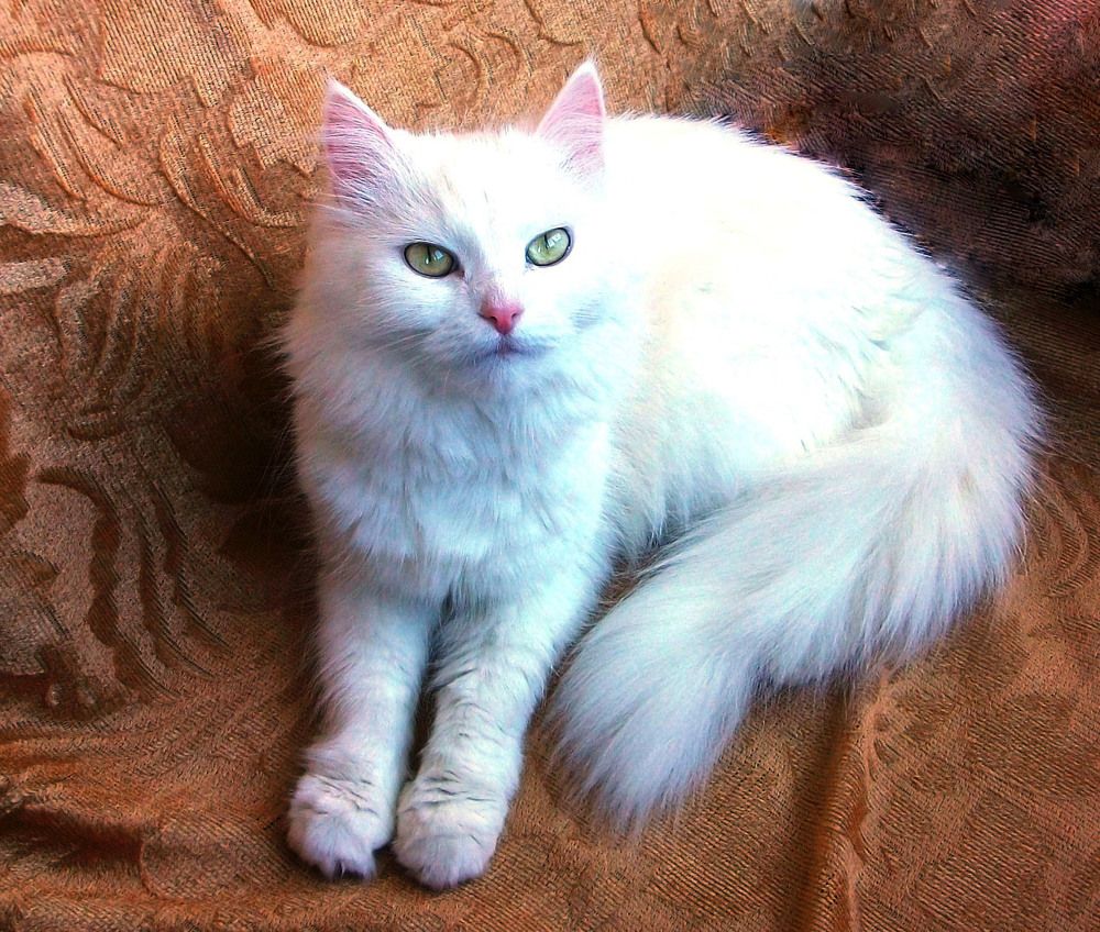 Photograph by Володимир Федишин