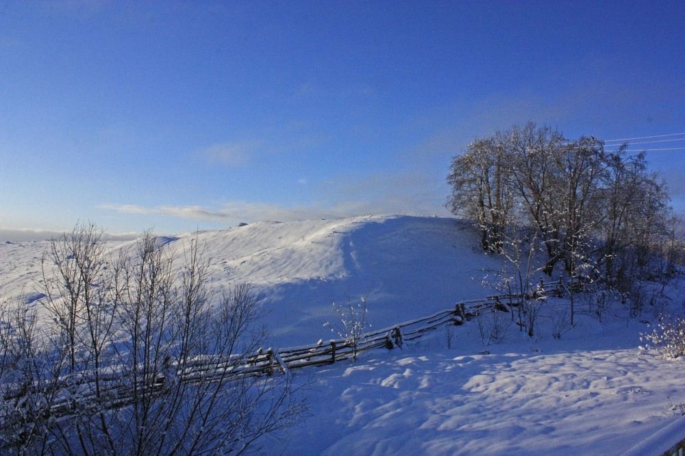 Photograph by Вероника Ратникова