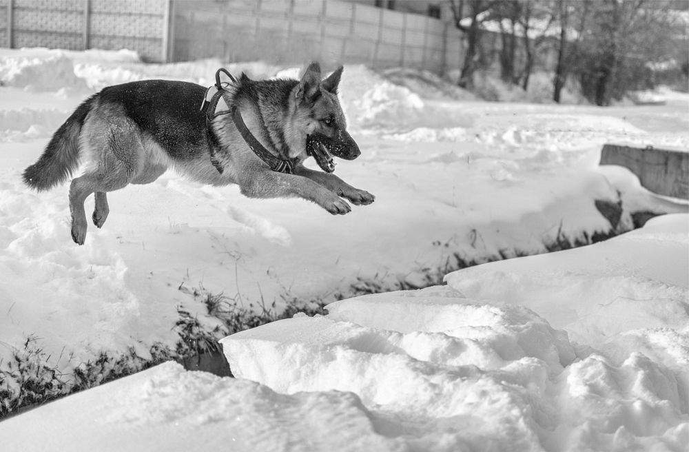 Photograph by Светлана Мельник