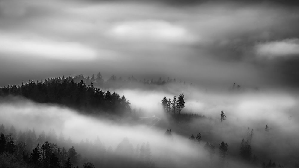 Photograph by Pavlasek Tom