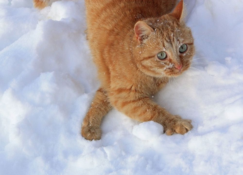 Photograph by Вероника Ратникова