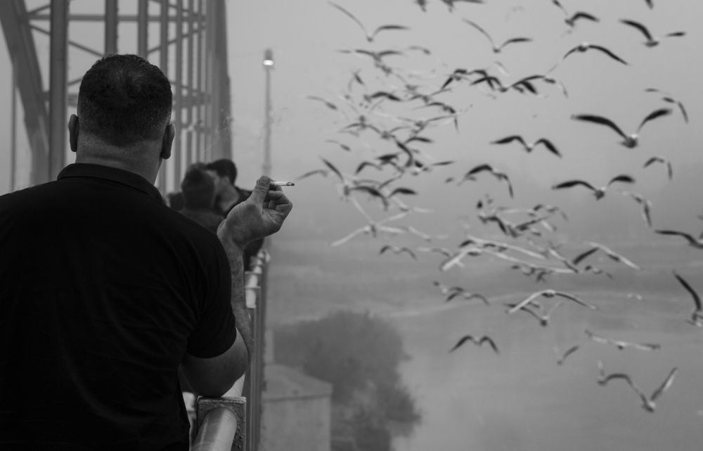 Photograph by arash radmanesh