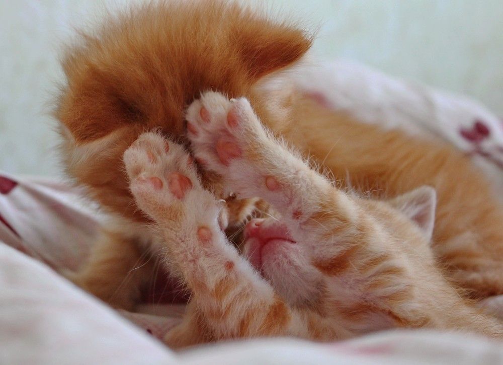 Photograph by Вероника Ратникова