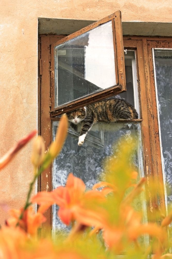 Photograph by Вероника Ратникова